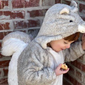 Toddler squirrel costume 2T - 3T  with acorn basket